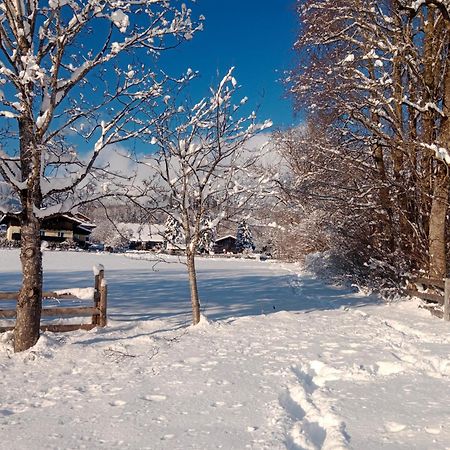 Apartment Alpenpanorama Goldegg Dış mekan fotoğraf