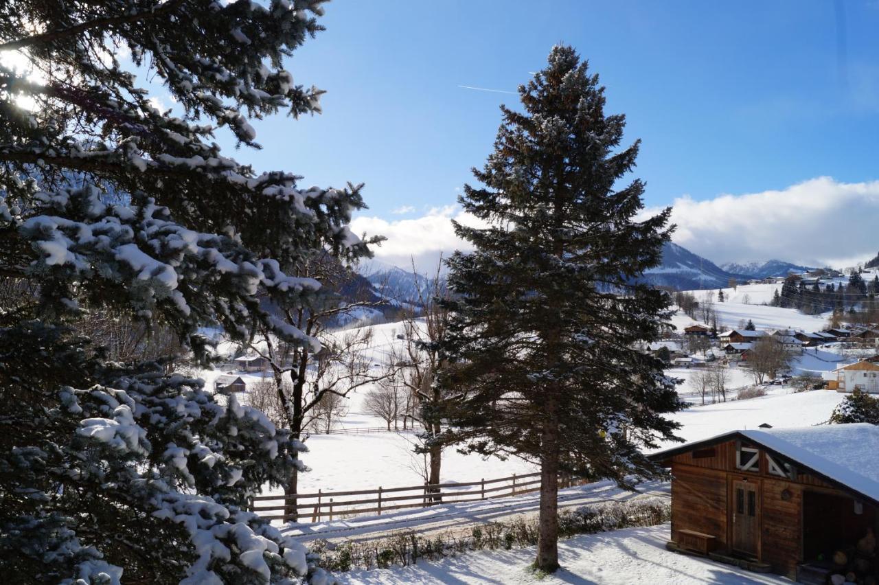 Apartment Alpenpanorama Goldegg Dış mekan fotoğraf