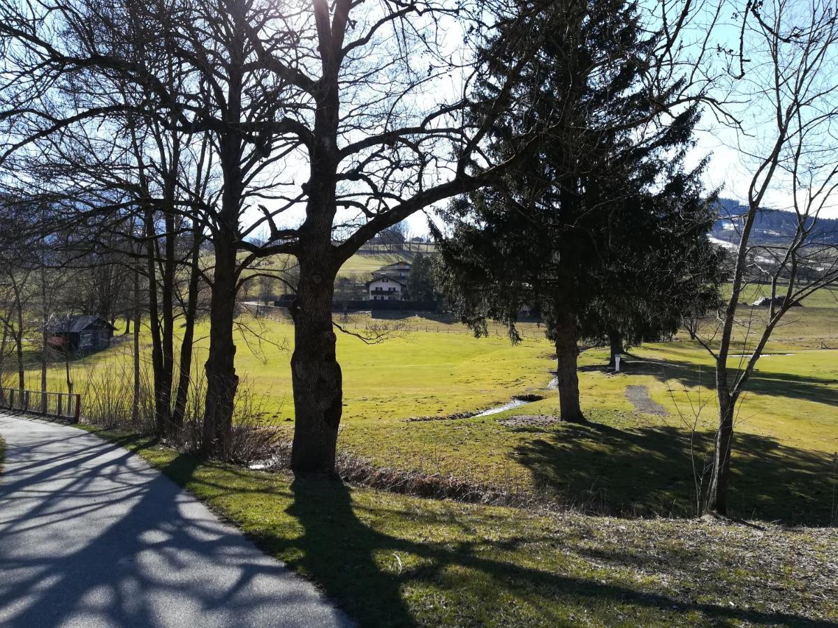 Apartment Alpenpanorama Goldegg Dış mekan fotoğraf