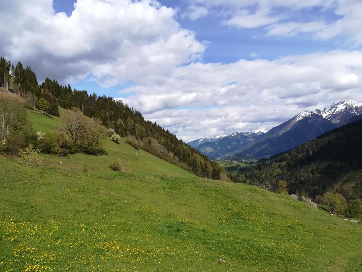 Apartment Alpenpanorama Goldegg Dış mekan fotoğraf