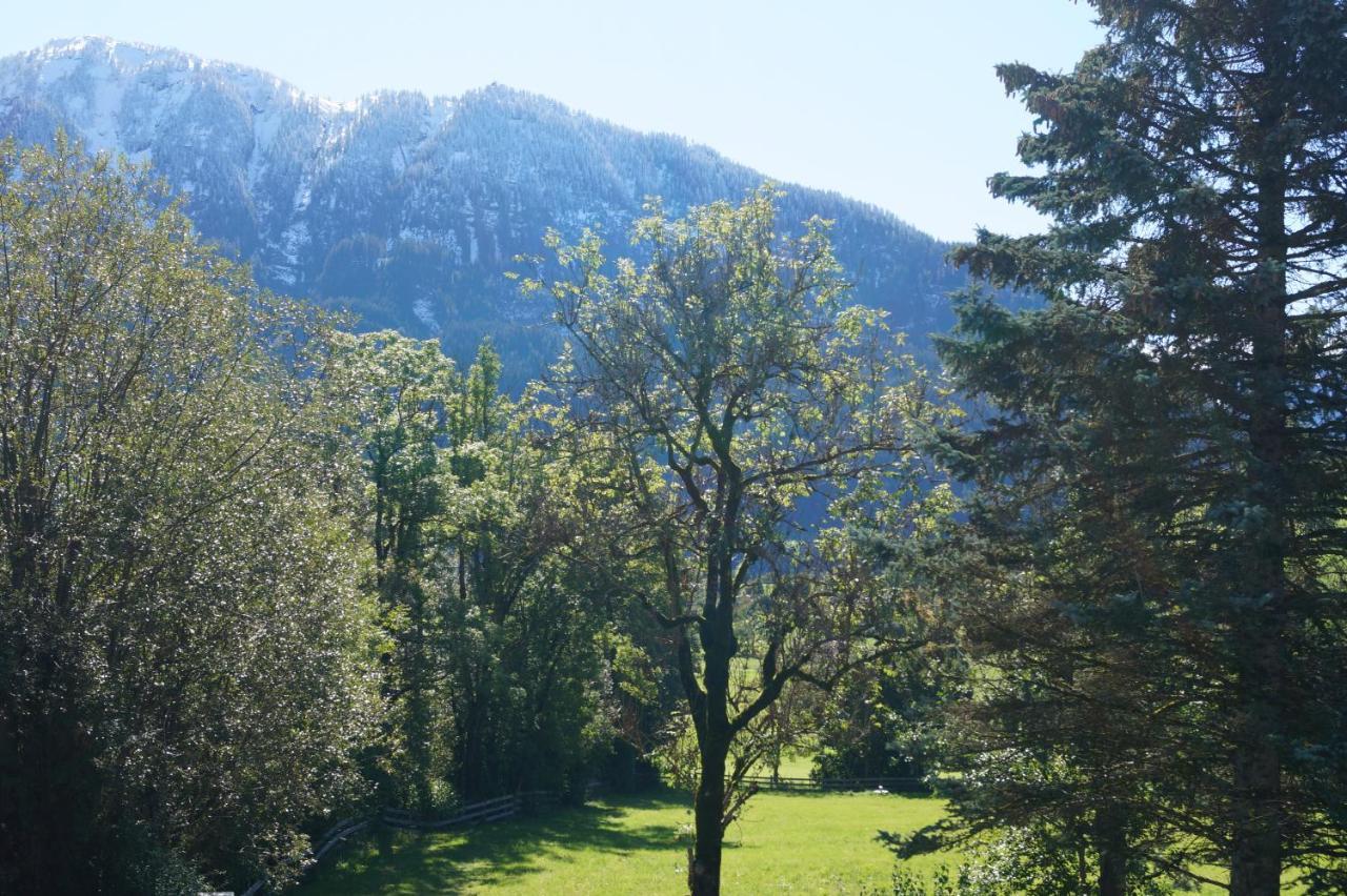 Apartment Alpenpanorama Goldegg Dış mekan fotoğraf