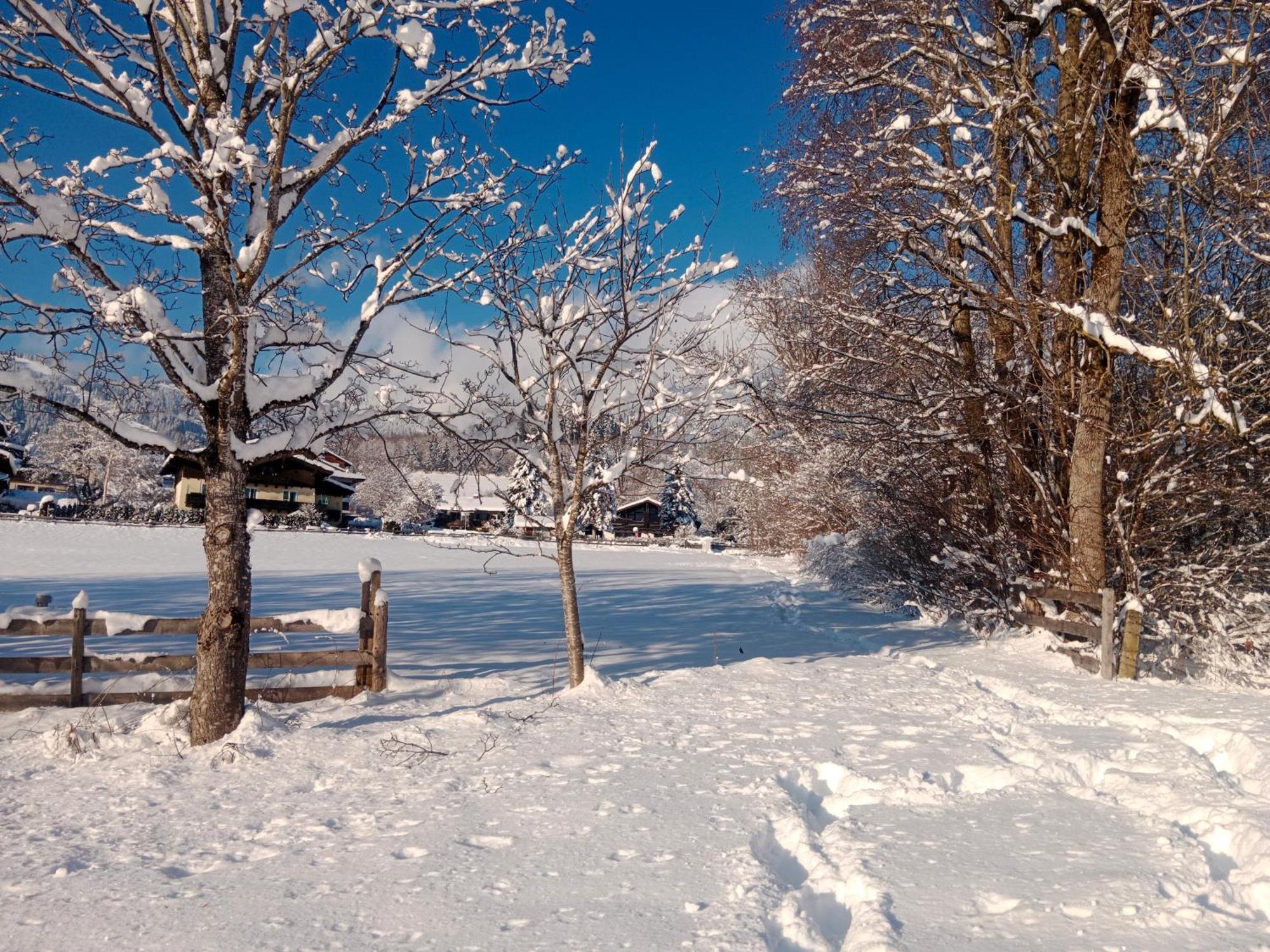 Apartment Alpenpanorama Goldegg Dış mekan fotoğraf